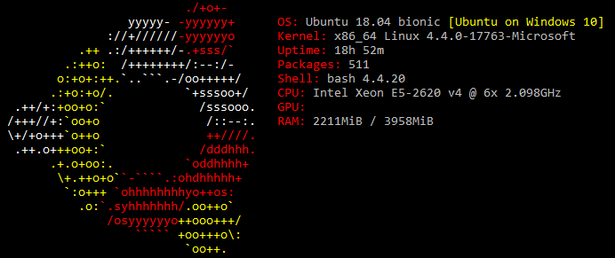 GNU/Linux nativo en Windows Server 2019 de la mano de WSL